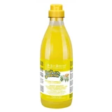 Iv San Bernard Champú con Jengibre y Saúco, para perros y gatos, 1000 ml