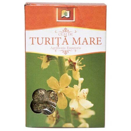 Thee van grote turita, 50 g, Stef Mar Valcea