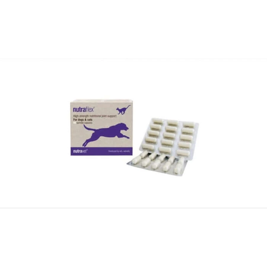 Nutravet Nutraflex pour chiens et chats, 60 gélules
