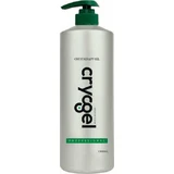 Anatomic Line Cryogel Gel Gel de crioterapie Pentru dureri musculare și articulare 1000ml