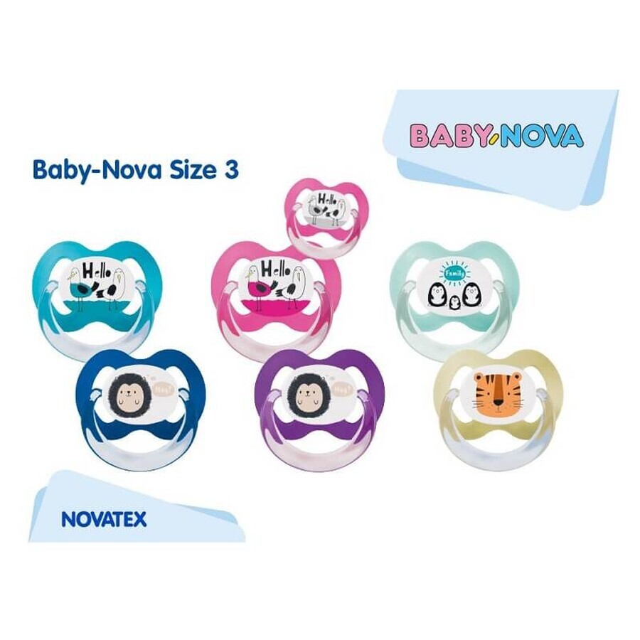 Suzete multicolore cu Inel + Steribox, Talia 3, 2 buc, Baby Nova