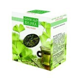 Ginkgo Biloba hojas de té, 75 g, Parapharm