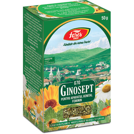 Ceai Ginosept, G70, 50 g, Fares