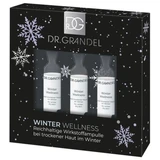Winter Wellness Actief Concentraat Flacons 3x3 ml, Dr Grandel