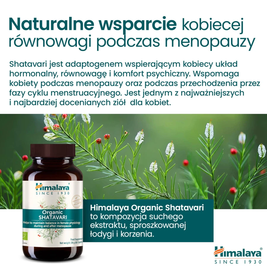 Himalaya Organic Shatavari Set, 2 x 60 tablets