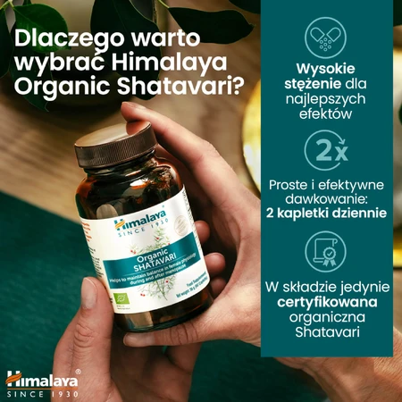 Himalaya Organic Shatavari Set, 2 x 60 tablets