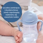B.Box, Flasche mit Strohhalm, Blush, ab 6 Monaten, 240 ml