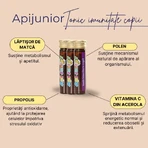 Tónico inmunológico infantil Apijunior, 20 ampollas, Albina Carpatina