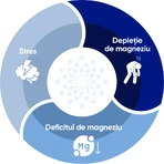 Magne B6 Forte 100 mg/10 mg, 60 comprimate filmate, Sanofi