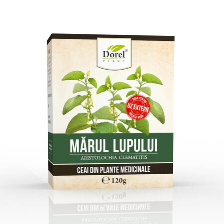 Tè alla mela lupo, 120 g, pianta di Dorel