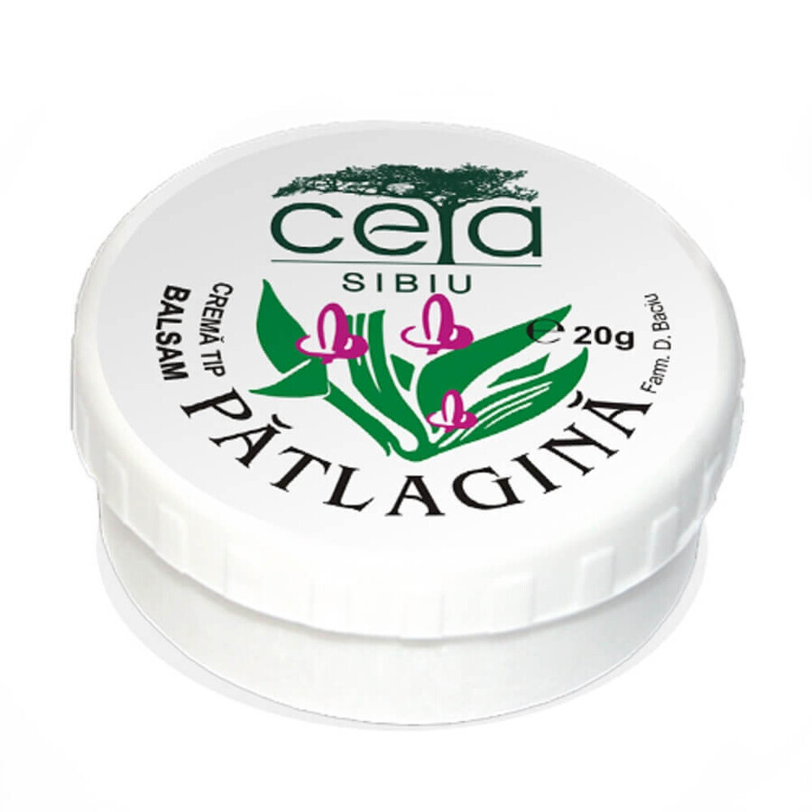 Patlagine ointment, 20 g, Ceta