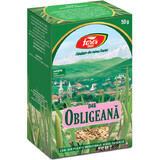 Obligeana wortel thee, D46, 50 g, Fares