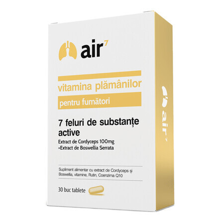 Air 7 para fumadores, 30 cápsulas, Green Splid