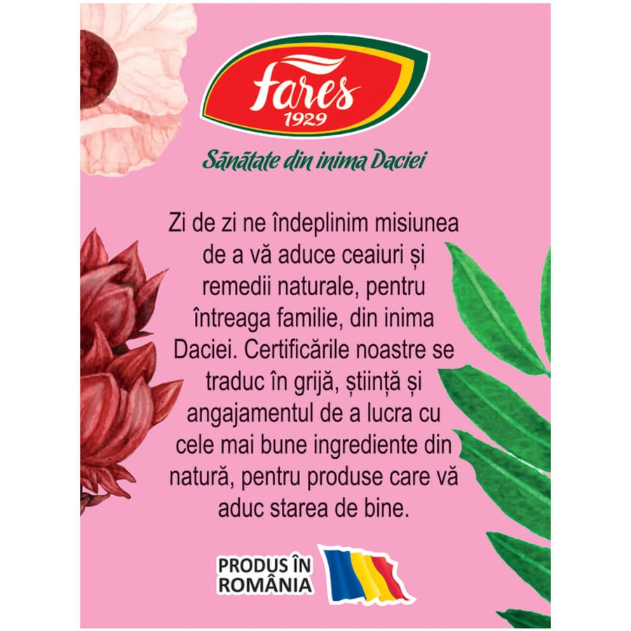 Silueta Perfectă 1 Thee, zuivering en drainage M123, 20 zakjes, Fares