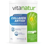 Vitanatur Collageen Antiox Plus 360 g