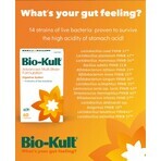 Bio Kult, 30 capsules, Protexin