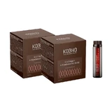 Kobho Labs Duplo Integratore di collagene e acido ialuronico, 2 x 20 fiale