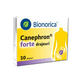 Canephron Forte, 30 dragees, Bionorica