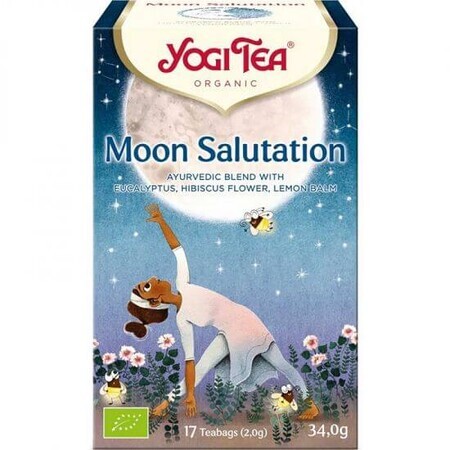 Organic Moon Greeting Tea, 17 bags, Yogi Tea