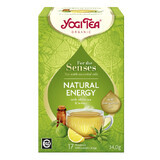 Energía Natural Para los Sentidos Té Ecológico con Aceites Esenciales, 17 bolsitas, Yogi Tea