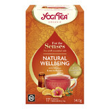 Bienestar Natural Para los Sentidos té orgánico con aceites esenciales, 17 bolsitas, Yogi Tea