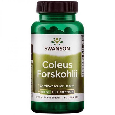 Coleus Forskohlii, 60 capsules, Swanson Health USA