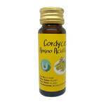 Cordyceps Aminoácido Líquido, 6 viales x 30 ml, Meizhou Hengrun