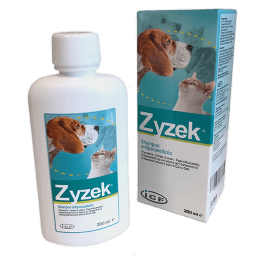 Zyzek ant*fl champú 200ml
