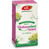 Distonoplant Forte N171, 60 capsule, Fares
