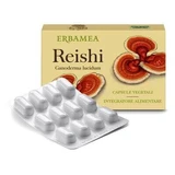 Reishi 24 cápsulas