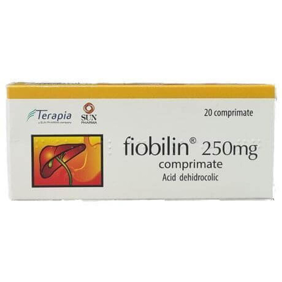 Fiobilin, 20 tablets, Terapia