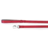 Reflex Leash with blue neoprene handle 25 x 1200 mm