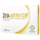 Zeta artro cur 30 tabletten