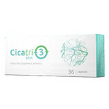 Cicatri Plus, 36 cápsulas, Planta Pol