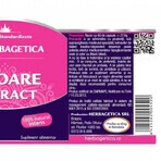 Cicoare Extract, 60 capsule, Herbagetica