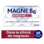 Magne B6 Forte 100 mg/10 mg, 2x60 comprimate filmate, Sanofi