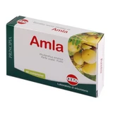 Extracto seco de amla 60 comprimidos