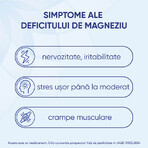 Magne B6 Premium, 100 mg/10 mg, 40 Filmtabletten, Sanofi