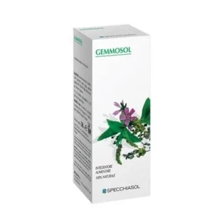Gemmosol 13 birch sap 50ml