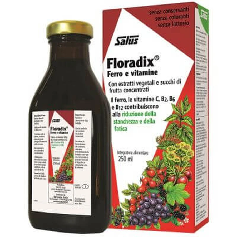 Floradix fer et vitamines 250 ml