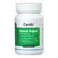 Casida Dental Repair Probiotics 60 St