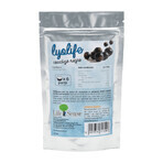 Grosellas negras liofilizadas Lyolife, 30 g, Lifesense