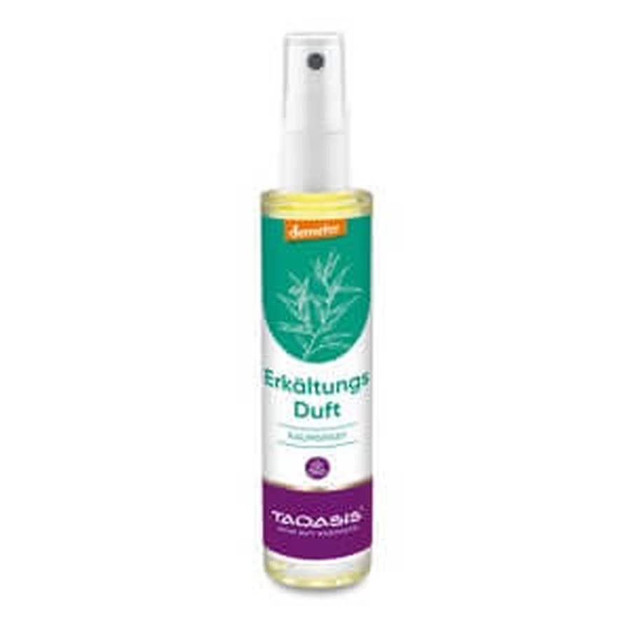 Spray per ambienti al profumo di freddo 50 ml