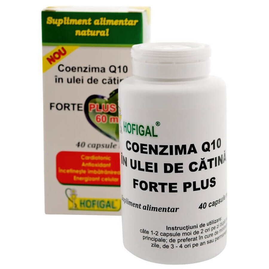 Coenzima Q10 în ulei de cătină Forte Plus 60mg, 40 capsule, Hofigal