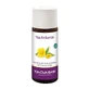 Teunisbloemolie BIO 50 ml
