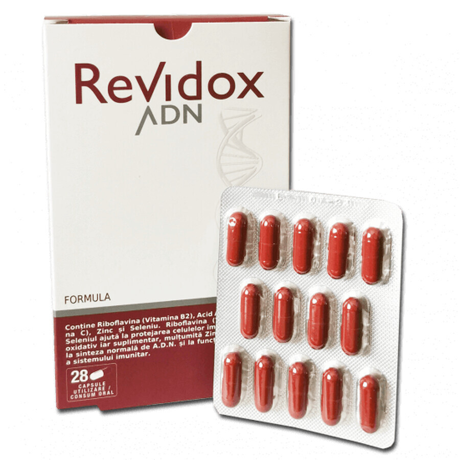 Revidox DNA, 28 Kapseln, Actafarma