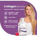 Collagene liquido idrolizzato di tipo 1 e 3 10000mg, 500ml, Swedish Nutra