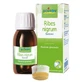 Ribes nigrum macerat gliceric 60 ml int