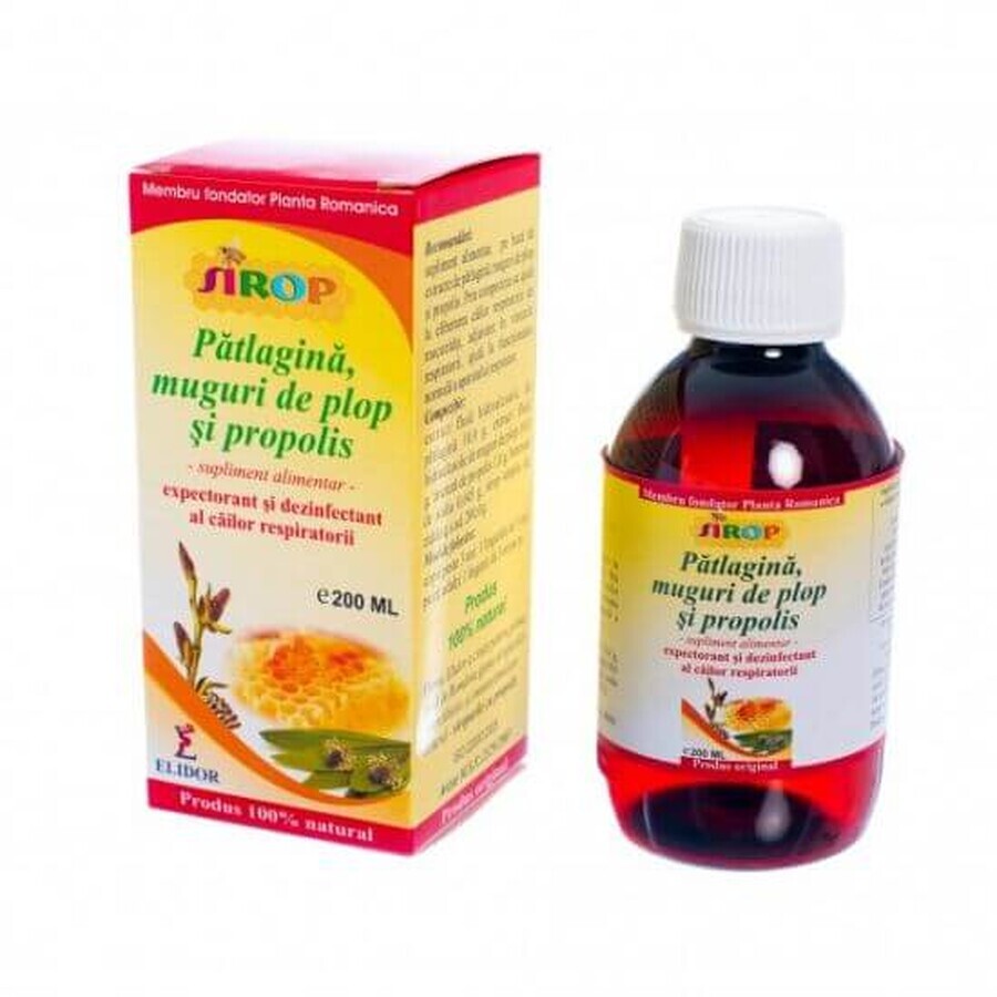 Dennenknop siroop met patlagine en propolis, 200 ml, Elidor