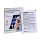 Capinerv dol pleisters 5 stuks